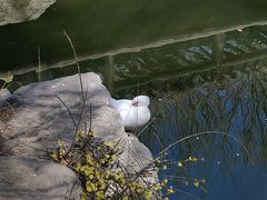 -三里河公园