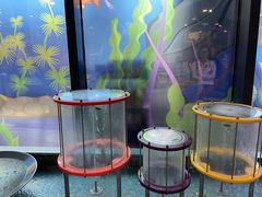 -中国宋庆龄青少年科技文化交流中心