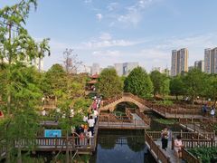 -五缘湾湿地公园