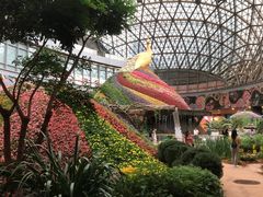 -花之城