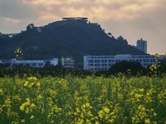 -光明小镇欢乐田园