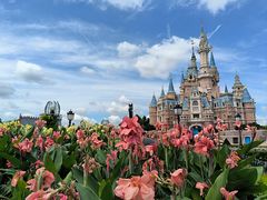 -上海迪士尼度假区