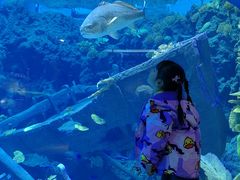 -南昌融创海世界