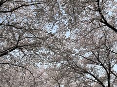 -苏州上方山国家森林公园