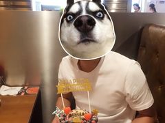 -EnergyCake蛋糕理想国