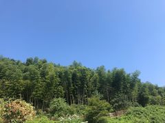 -径山寺