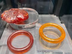 -中国地质博物馆