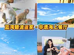 -蓝湾碧波·老字号·疍家非遗海上餐厅