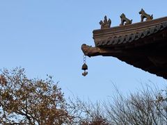 -杭州半山国家森林公园