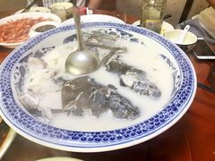 -全乐鱼馆·淳牌有机鱼直营店