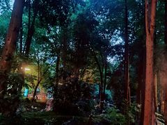 -成都市活水公园