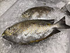 -Isla Sugbu Seafood City