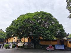 -桂林独秀峰王城景区
