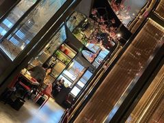 -老板恋上鱼(印象城店)