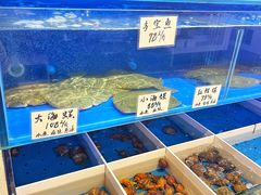 -渔家颂歌渔家味道(青石路店)