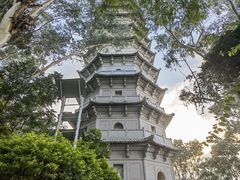 -深圳国际园林花卉博览园