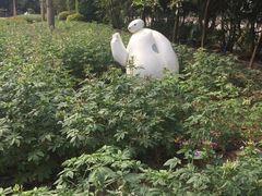 -广东花都香草世界旅游度假区
