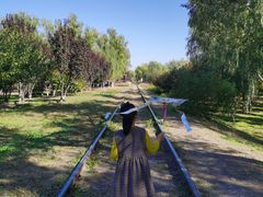 -永定河休闲森林公园