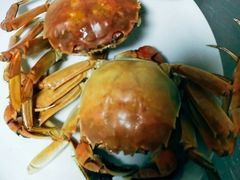 -醉胶东(友谊店)