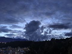 -洱海月湿地公园