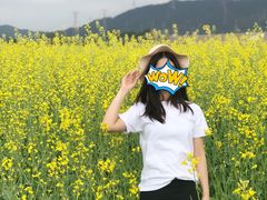 -光明小镇欢乐田园