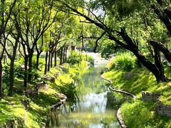 -北坞公园