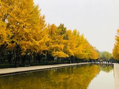 -玲珑塔公园