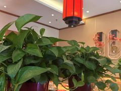 -鸽子窝(宋庄店)