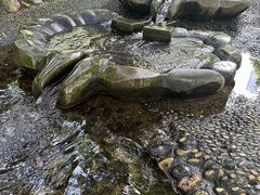 -成都市活水公园