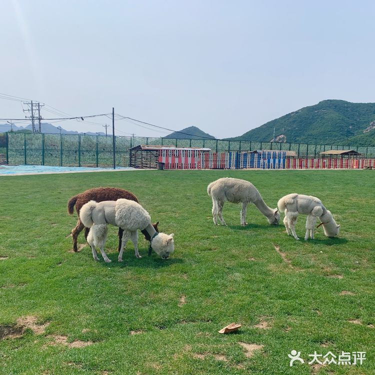 鞍山老院子动物园