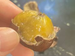 -粒上皇(芷江西路店)