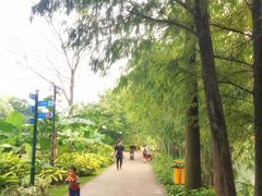 -晓港公园