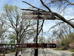 -紫金山山顶公园