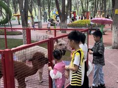 -水上乐园·欢乐世界