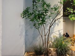 -Seesaw Coffee(深圳深业上城店)