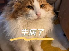 -良伴无忧宠物医院(泰欣嘉园店)