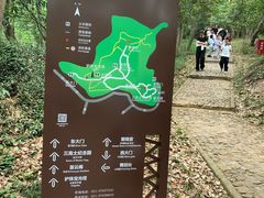 -上海佘山国家森林公园天马山园