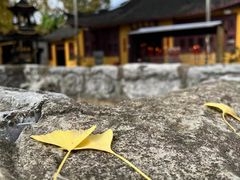 -金泽古镇