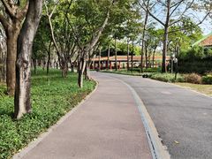 -顺峰山公园