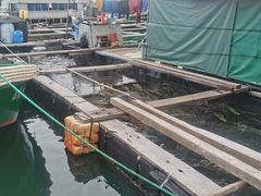 -蓝湾碧波·老字号·疍家非遗海上餐厅