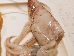 小鱿鱼-龍歌自助小火锅(崂山丽达店)