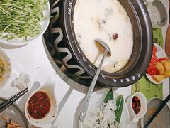 -洪氏嗨捞·广东猪肚鸡·椰子鸡火锅(西咸万象城店)