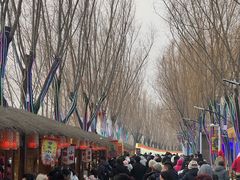 -青龙湖公园