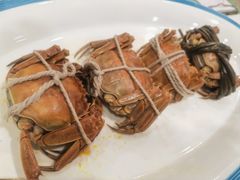 清蒸大闸蟹-天鲜阁·海鲜粤菜·33年老字号(石槎白云站店)