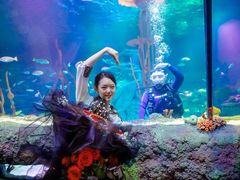 -沈阳海洋探索中心