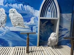 -成都浩海立方海洋公园