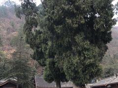 -报恩寺(平武县)