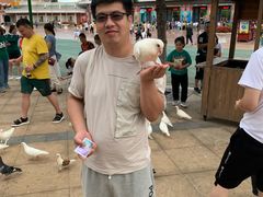 -沈阳方特欢乐世界