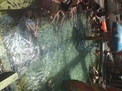 凌海九华山温泉水城-九华山酒店温泉