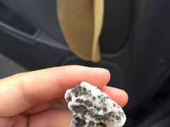 -企鹅岛